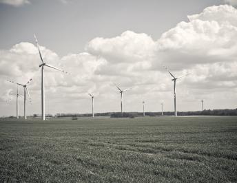 A Post With a Right-Aligned Image