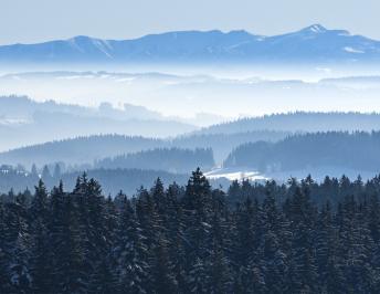 With just a few clicks you can add in both portrait